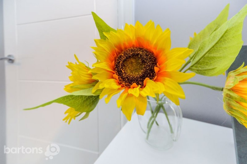 Images for Highfield Road, Greasbrough