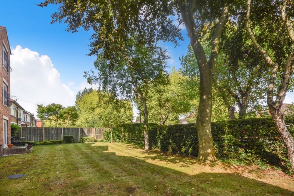 Images for Woodlands, Broom