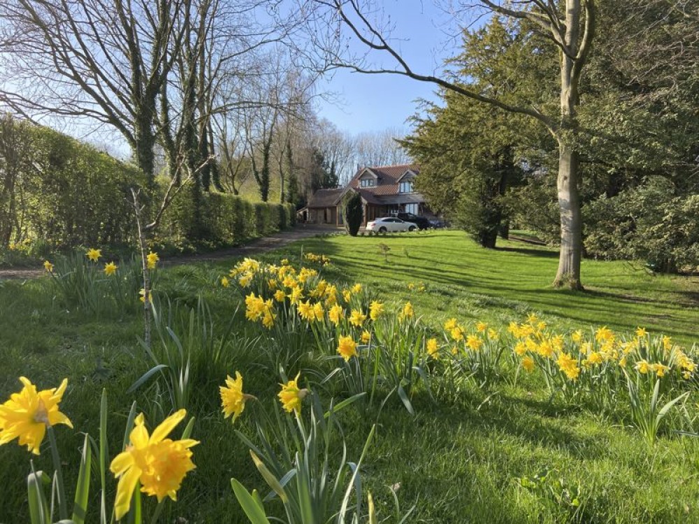 Images for Brock House, Ripon Road, Ripon