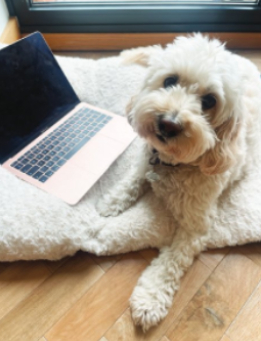 Teddy  Ferris, Meet and Greet Executive